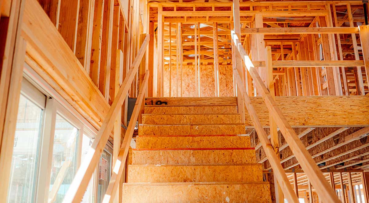 Best Kinds Of Wood For Construction Projects