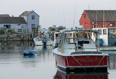 Northeast USA Hardwood Export Services