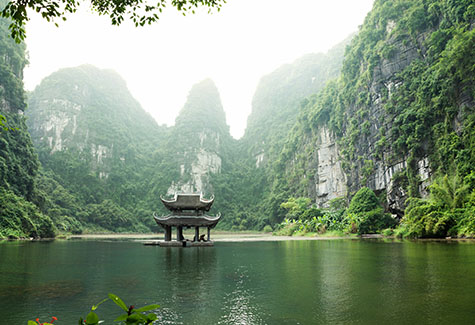 Vietnam Hardwood Export Company