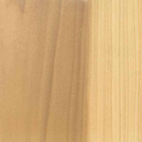 poplar