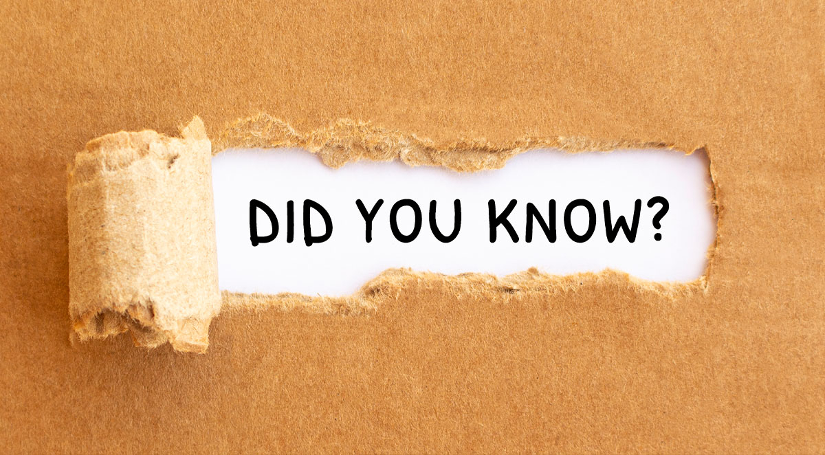 Everything You Need To Know About Our Select Hardwoods