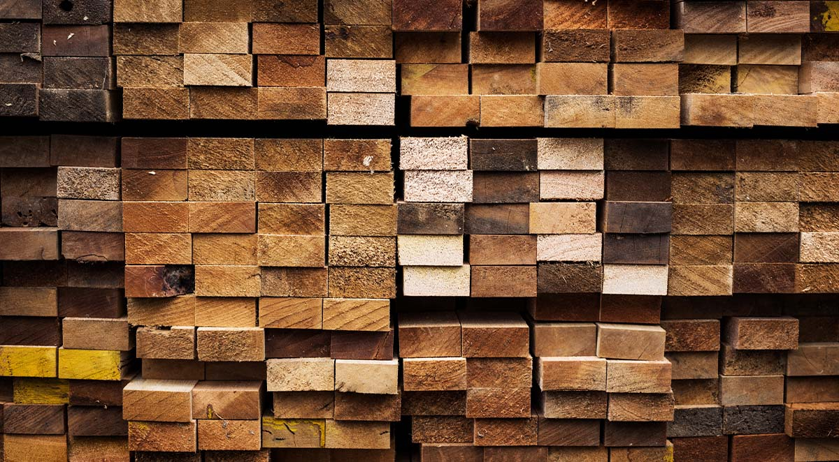 Hardwoods vs. Softwoods